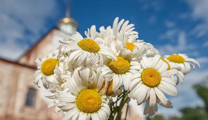 Владислав Шапша поздравил калужан с Днем семьи, любви и верности