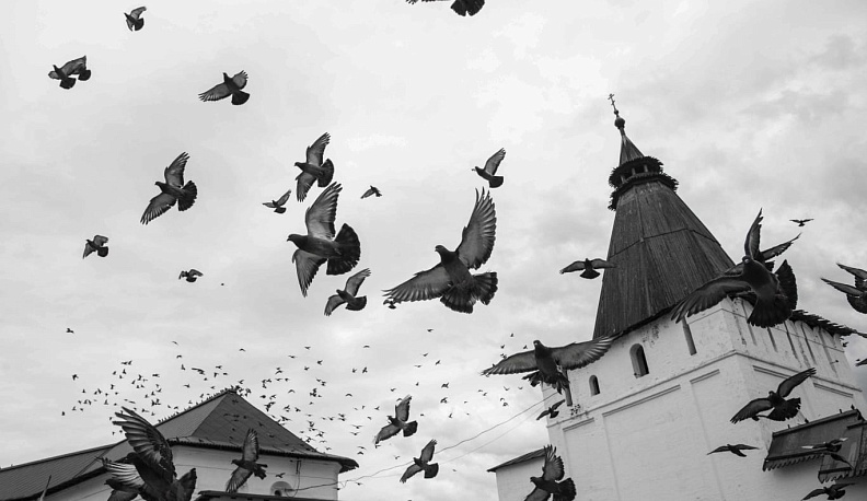 В Калуге подвели итоги фотоконкурса «Калужский край — место силы»