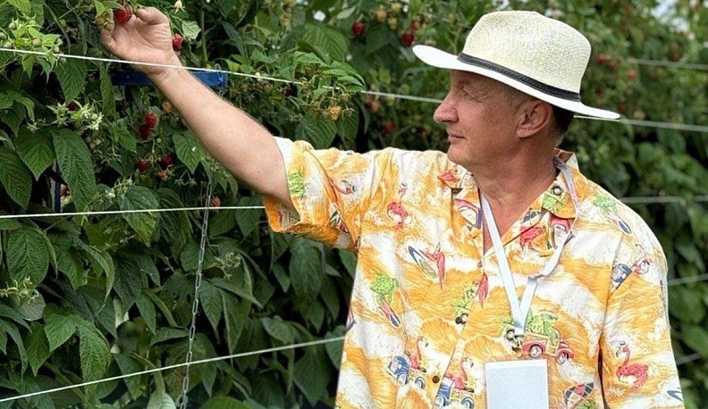 Не жизнь,  а малина!