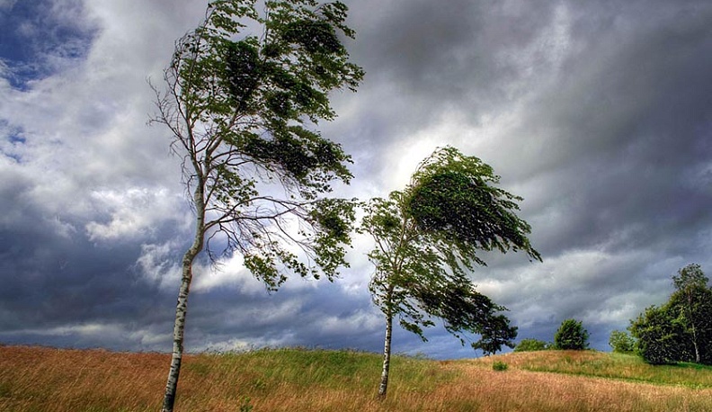 В Калужской области ожидают усиления ветра