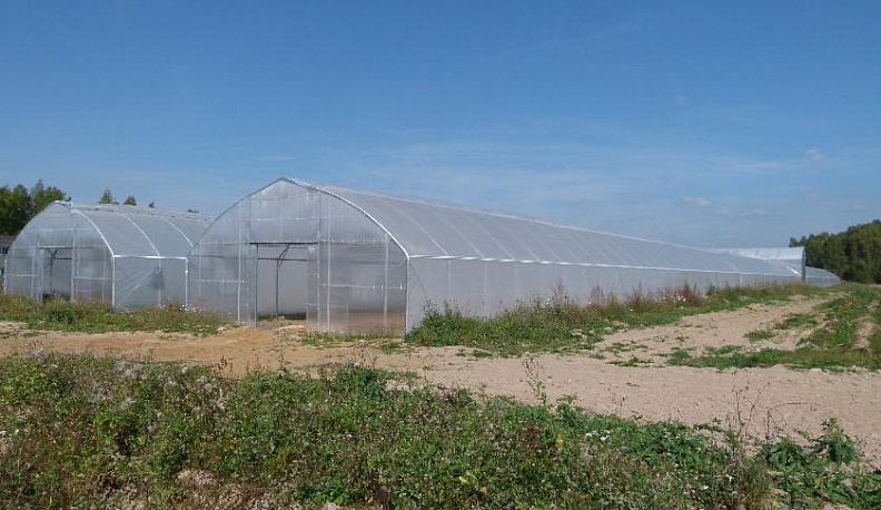 Лето круглый год