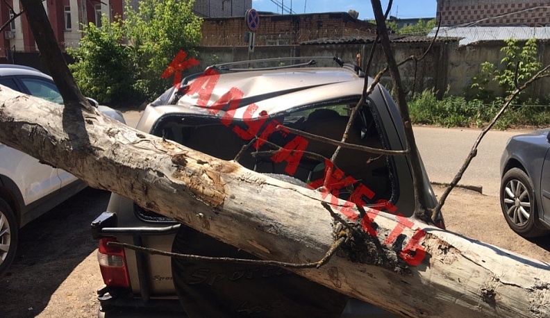 Упавшее дерево придавило три машины