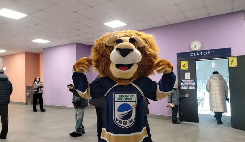 Калужские хоккеисты сразились с салихардским клубом