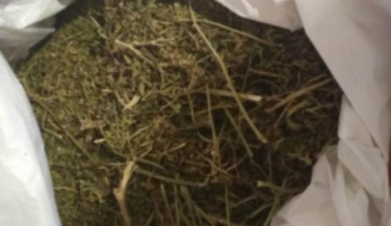 Калужанин хранил дома почти 200 граммов наркотиков