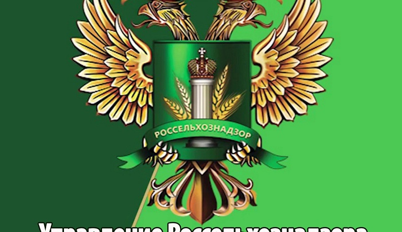 В Калужской области нашли более 19 тонн зараженных трипсом нектаринов