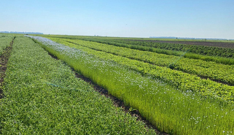 Владислав Шапша рассказал о подготовке к весенне-полевым работам в Калужской области