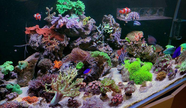 400 литров  океана