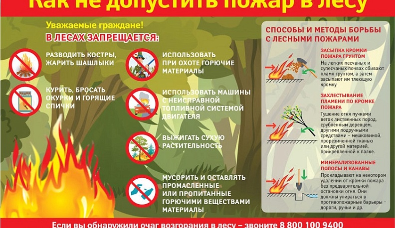 Калужанам рассказали, как предотвратить пожары в лесах