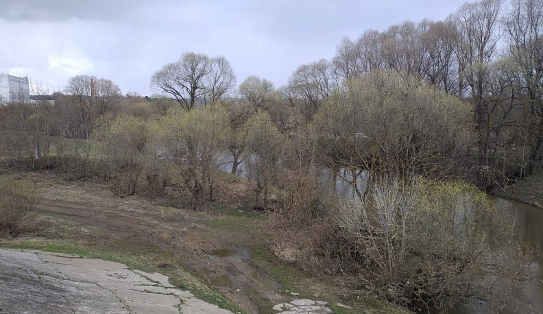 В Калужской области расчистят реку Лужа