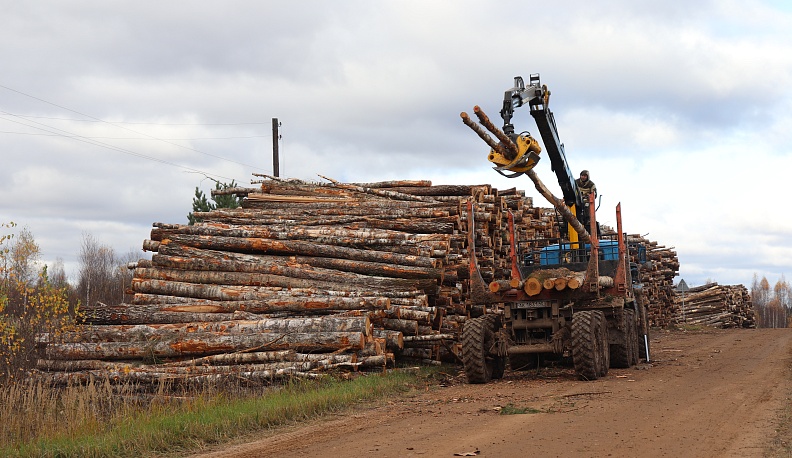 В своём глазу бревна не замечают