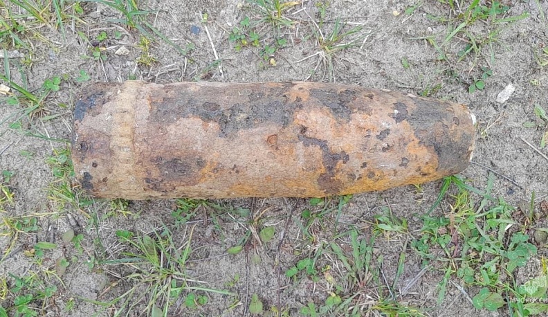 В Калужской области в лесу обнаружили пять артиллерийских снарядов