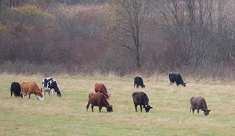 Амбразура Александра Матросова