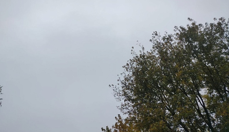 В Калужскую область пришла осень