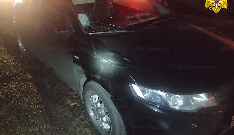 В Ворсине легковушка сбила пешехода