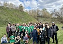 В Перемышле полсотни активистов навели порядок в историческом Пушкарском овраге