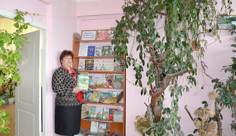 Прекрасное в обычном