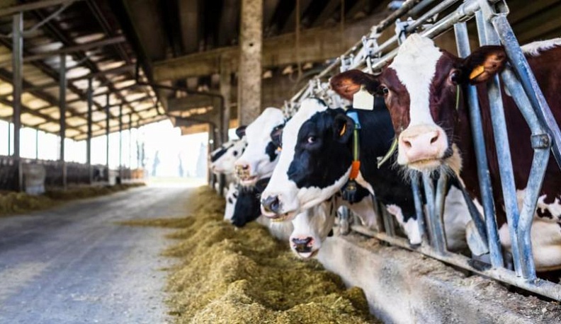 Калужские аграрии повышают квалификацию в «Школе фермеров»