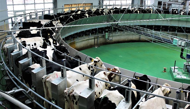 У ИСТОКА МОЛОЧНОЙ РЕКИ