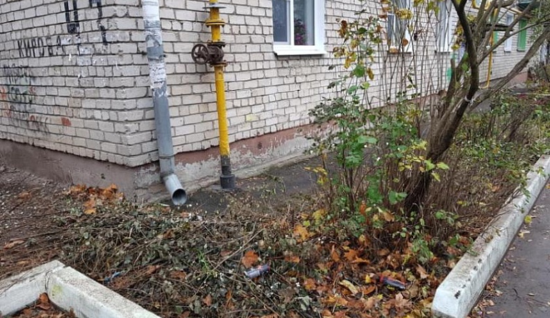 Калужанин помог своей теще через соцсеть