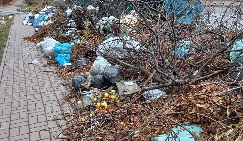 Жители Калуги и Малоярославецкого района чаще других жаловались на мусор