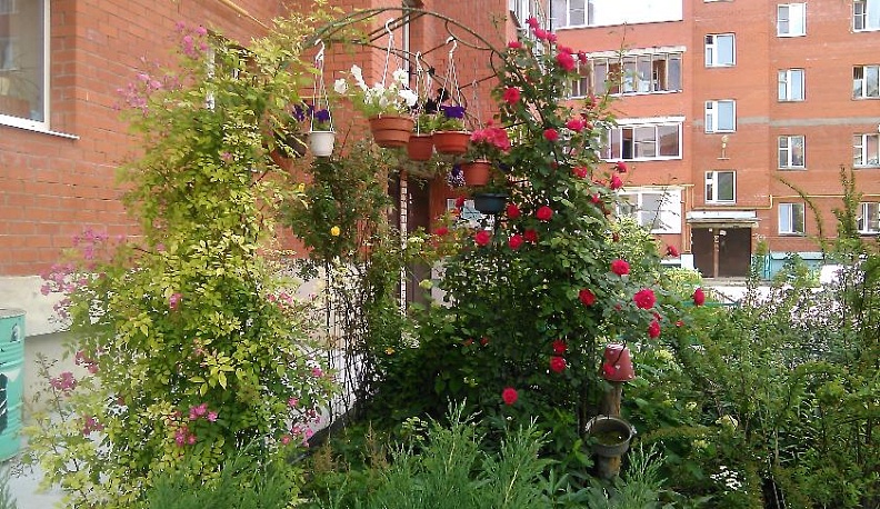 Добрые соседи – хорошие друзья