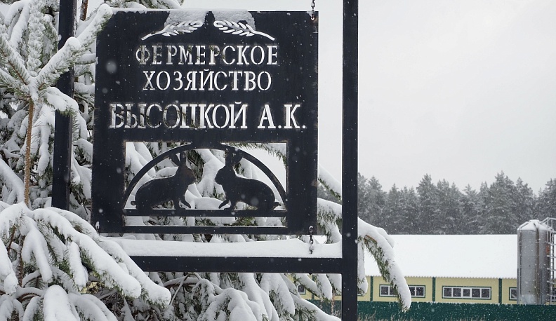 Когда год   сулит приплод