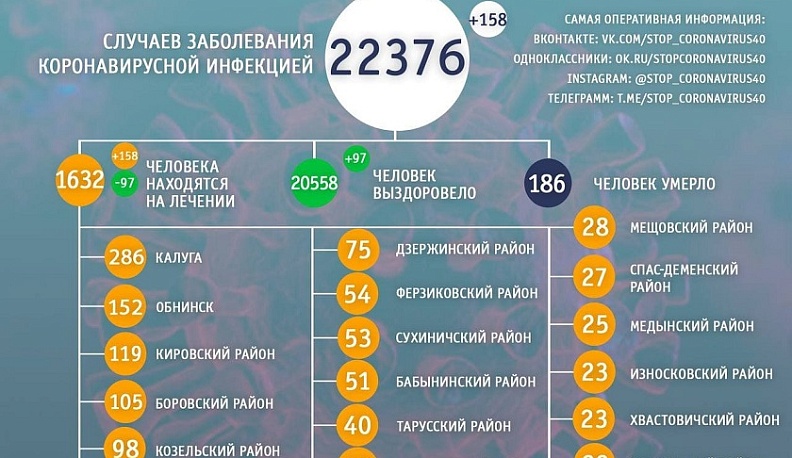 В Калужской области 158 новых подтвержденных случаев коронавируса