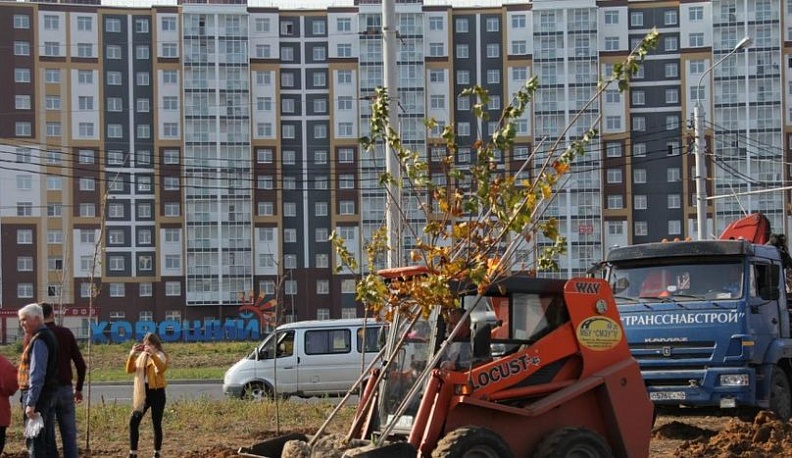 20000 новых деревьев в Калуге