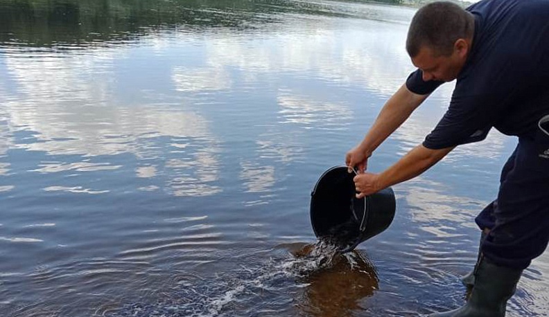 Около Калуги в Оку выпустили стерлядь