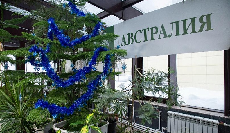 Новый год по-мезозойски