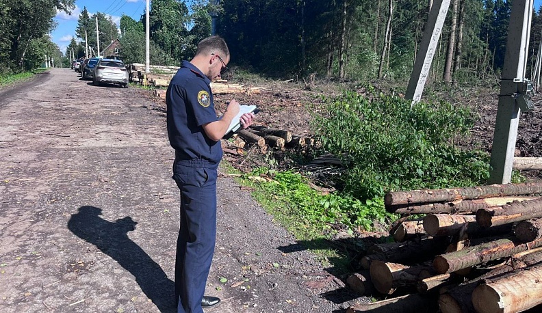 Следователи проверят законность вырубки деревьев под Боровском