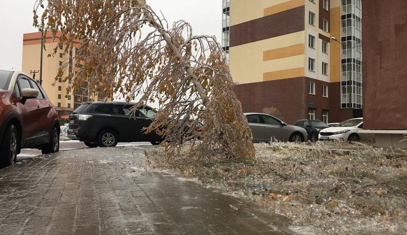 МЧС предупреждает о гололёде и гололедице в Калужской области