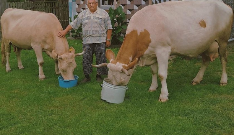 Жизнь неплоха, если есть ЛПХ