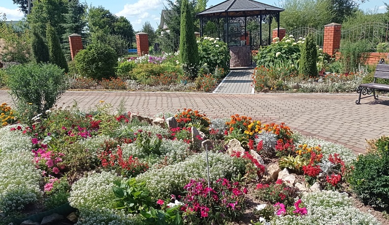 Искали самое красивое