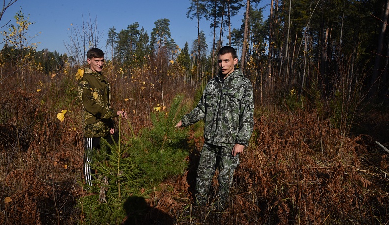 Требуются рыцари с мечом Колесова