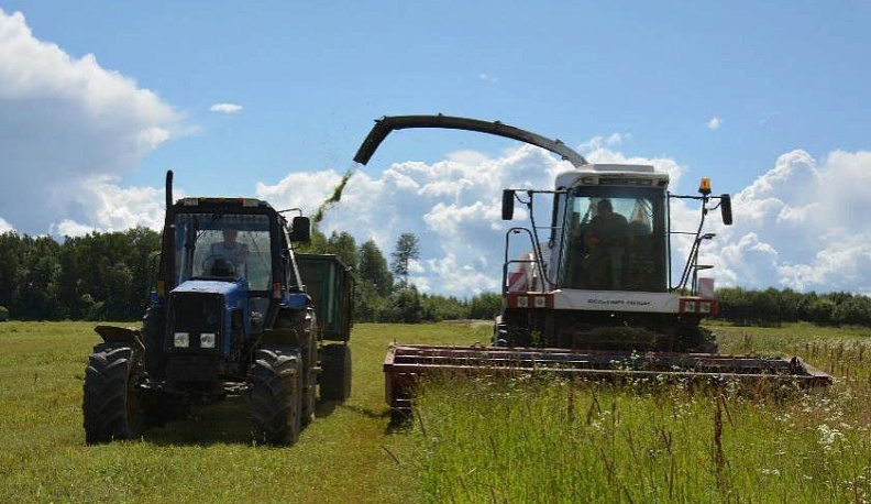 Дорог каждый час