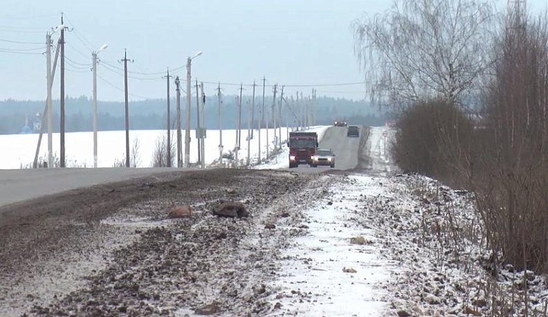 Шины машин по асфальту шуршат