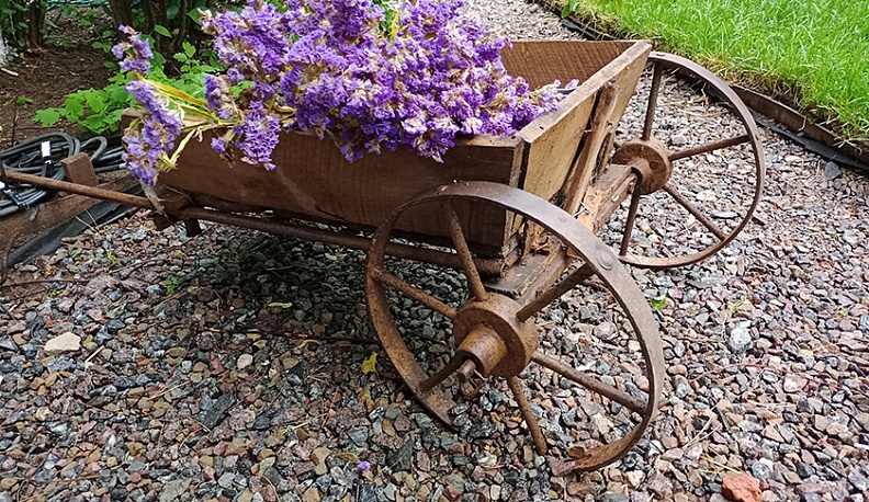 Пространство, которое меняется каждый день