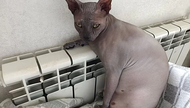 Ремонтные работы котельной на улице Вооруженного восстания завершаются в Калуге