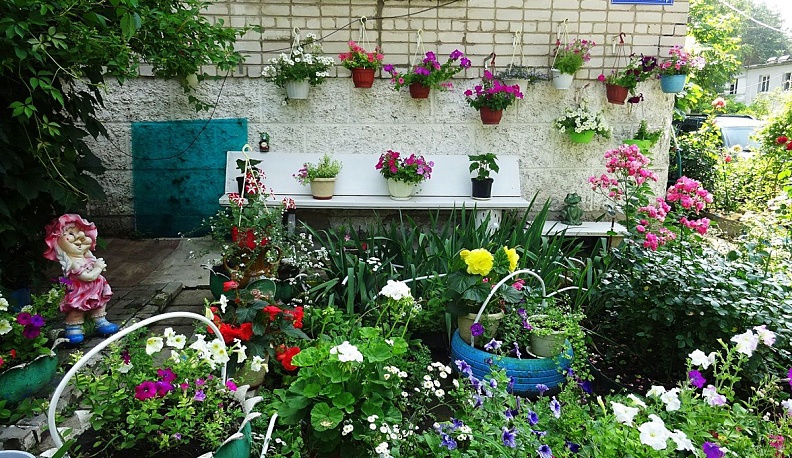 Лучший цветник Калуги - на территории дома № 1 в с. Сосновый Бор.