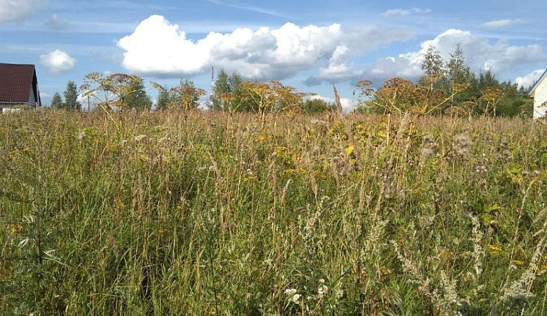 Земля тревоги нашей