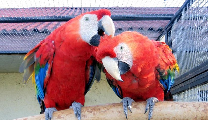 Клуб путешествий