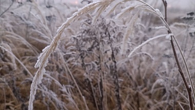 В Калуге продолжают держаться сильные морозы