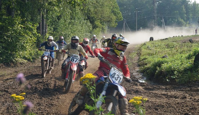 На острие жизни