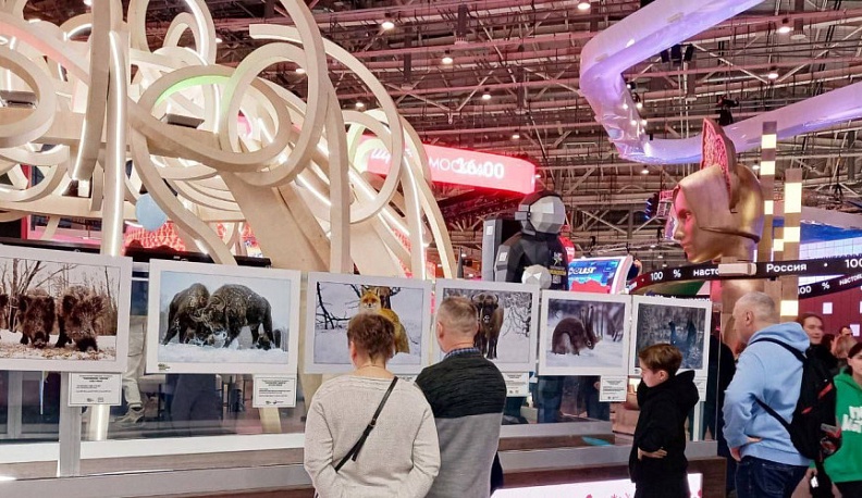 За три месяца работы выставку-форум «Россия» посетили 6 млн человек
