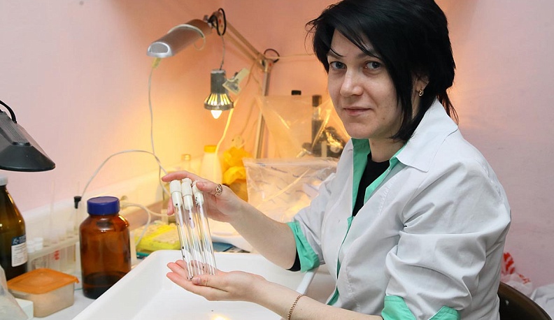 Паразиты на пике