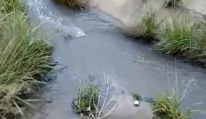 В Калужской области в приток Угры попали химотходы