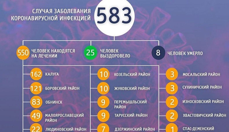 В Калужской области выросло число районов, не инфицированных Covid-19