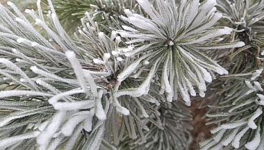 В Калуге 24 декабря ожидается морозная погода с гололедицей