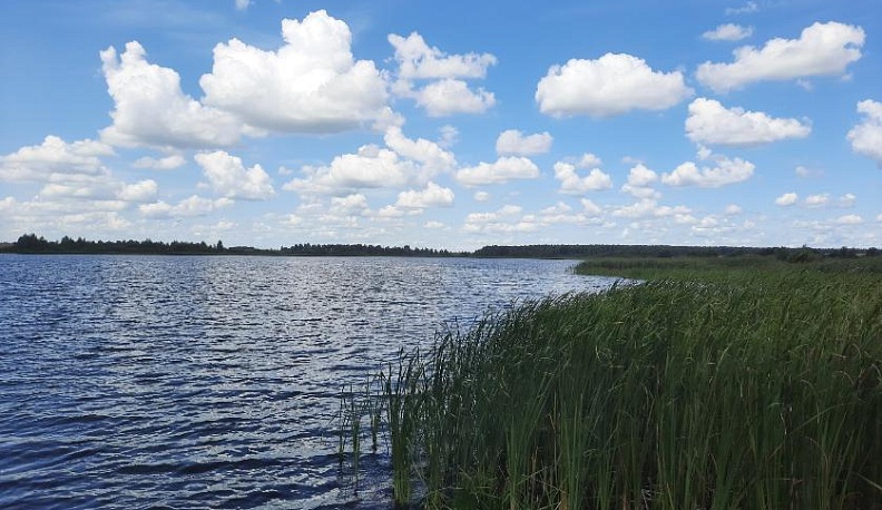 Определены границы памятника природы регионального значения «Пеневичское водохранилище» 